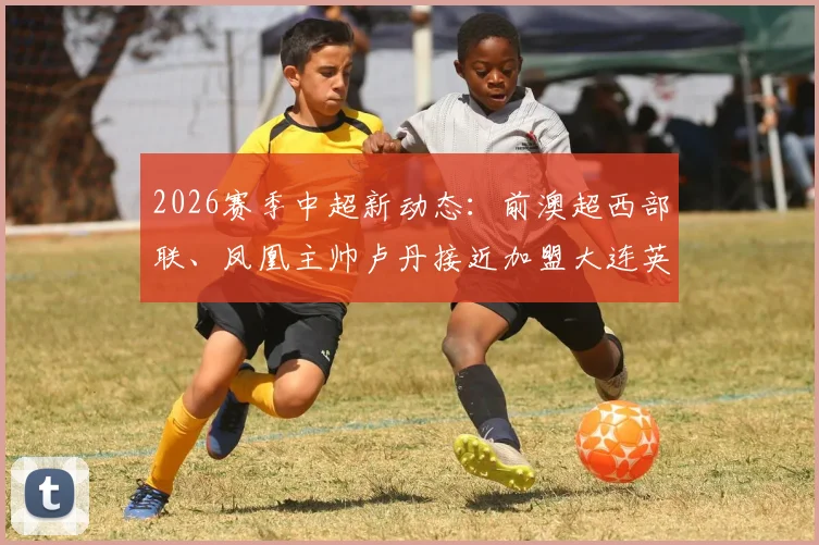 2026赛季中超新动态：前澳超西部联、凤凰主帅卢丹接近加盟大连英博教练组，有望担任助理教练